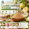 Extrato de Garcinia Cambogia com 50% –60% de ácido hidroxicítrico