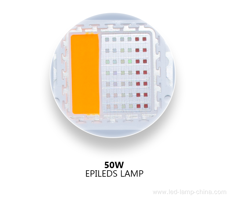 AC100-240V LED flood light 50w RGBW led flood light