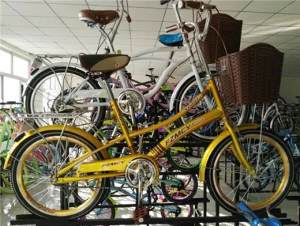 28'' Steel City Bike