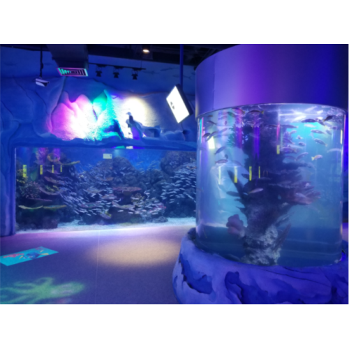 Aquariumtunnel unter Wasser transparenter Tunnelfischtank