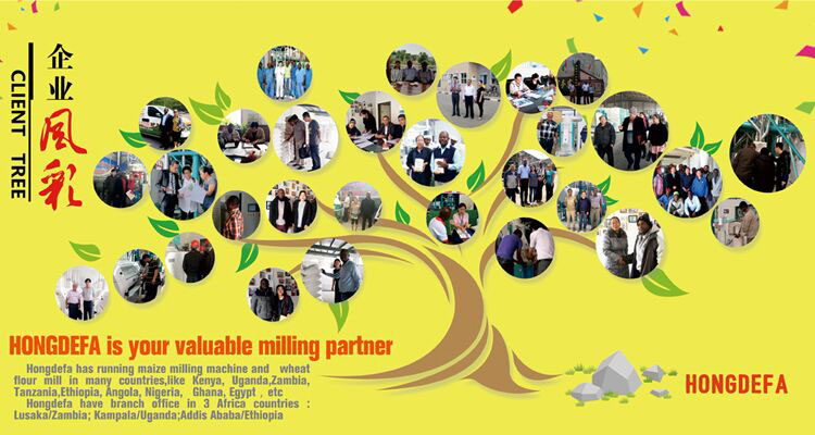 50t per day corn mills maize flour mill machine for Africa market