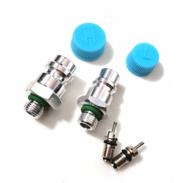RGFROST 50Pairs R134a High And Low Pressure Refueling Nozzle For Auto A/C Pipe Fluoride Joint SD508 Compressor Valve Core Valve