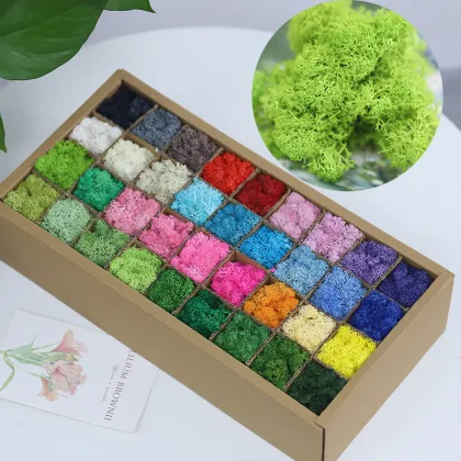 Factory Wholesale Live Moss, Preserved Immortal Moss, and Green Moss for Wall Decoration