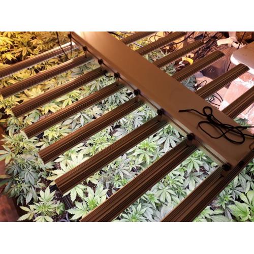 Samsung 561B Grow Room com luzes LED