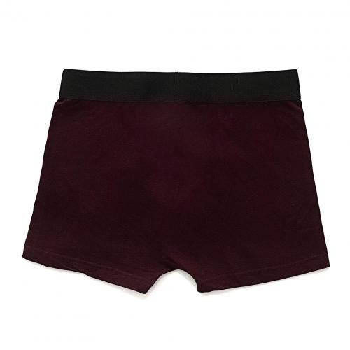 Elastic Waist Cotton Boxers Briefs for Men