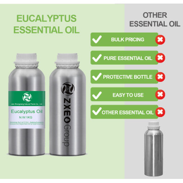 Grade Terapêutica Eucalipto Essential Oil Premium Qualidade perfeita para aromaterapia