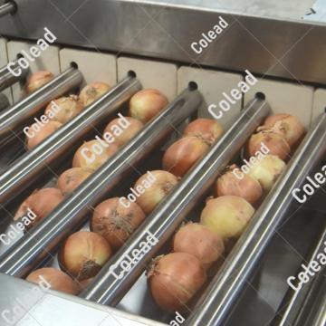 Máquina de classificação de quatro rolos de tamanho para processamento de alimentos
