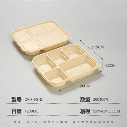 Five compartments lunch box D