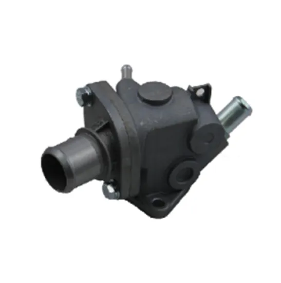 ESAEVER Thermostat 10121020161000 for Trunpchi