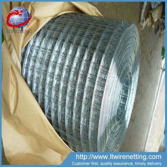 Fine 10 gauge sus 304 stainless steel welded wire mesh