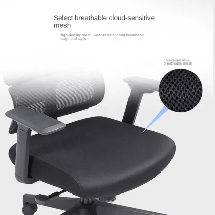 Modern Office Ergonomic Chair - Aluminum Contemporary Executive Home Computer Chair