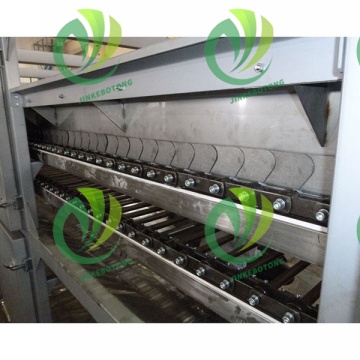 Advanced Mesh Belt Drying Technology Solution