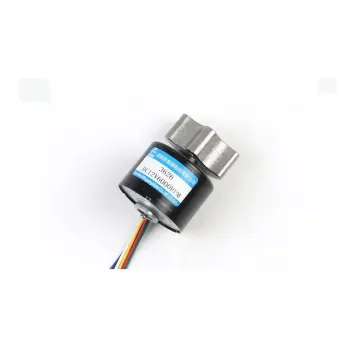 12V/24V Brushless DC Vibration Motor with 3626 Planetary Gear, Adjustable Speed (CW/CCW), and High Torque for Micro Applications (3000/6000rpm)