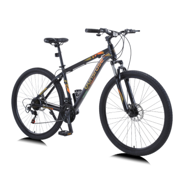 2020 all'ingrosso di alte qualità di montagna China Mountain Bike Sospension Hublebar