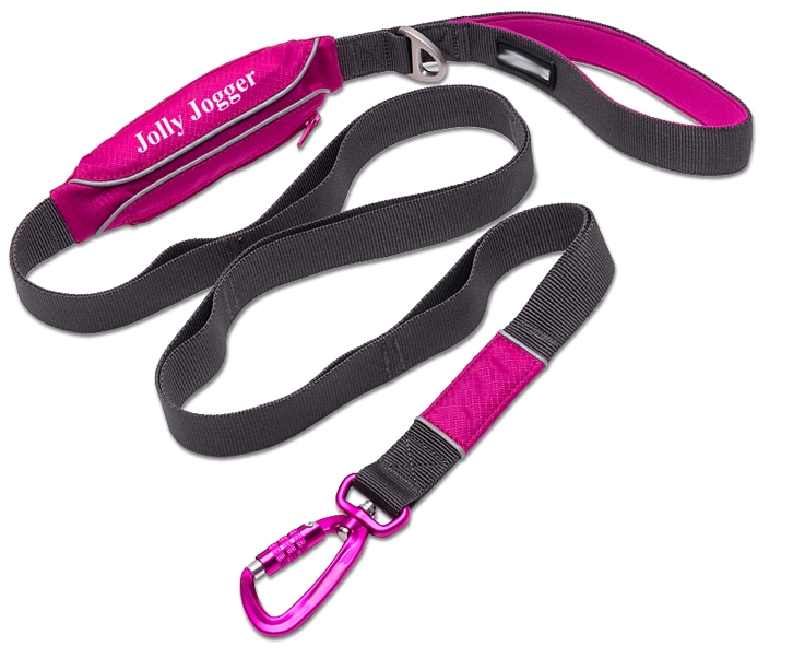 Reflective Dog Training Pouch Leash