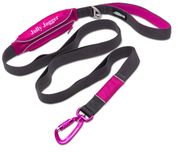 Reflective dog training pouch leash