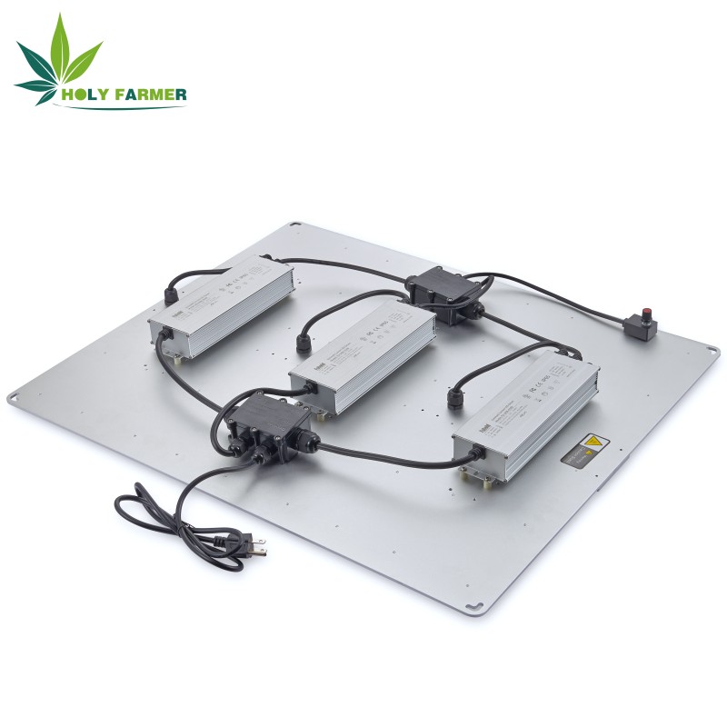 4000b600wledgrowlight2