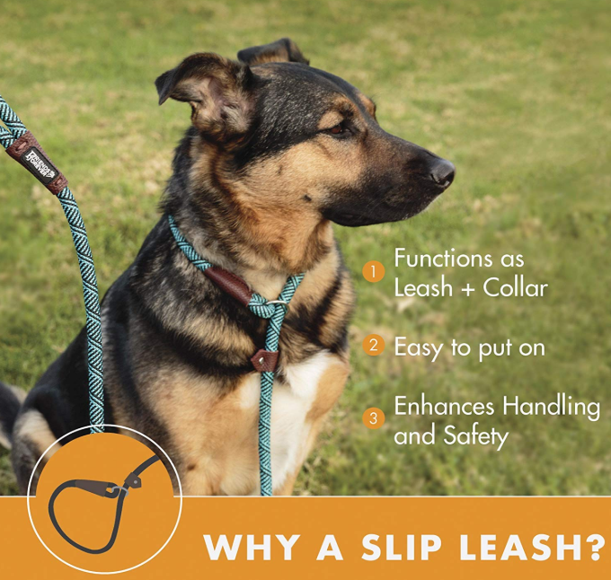 Durable Dog Slip Rope Leash