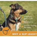 Durable Dog Slip Rope Leash