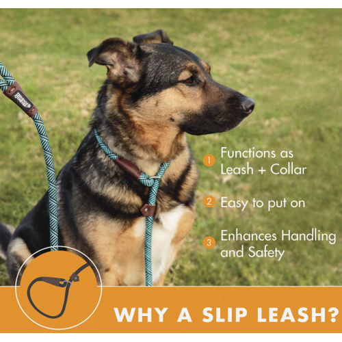 Durable Dog Slip Seil Leine