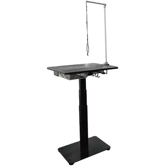 Veterinary Hospital Services for Cats and Dogs