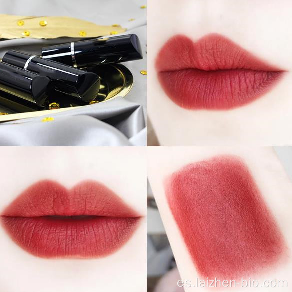 Barra de labios de maquillaje de lápiz labial profesional multicolor