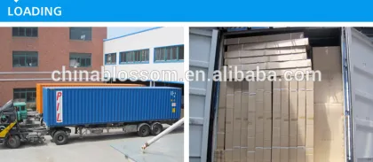 hanghzou Blossom swanstone small outdoor shower enclosures kit