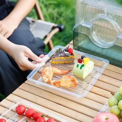 Square Plate Snack Plate Fruit Plate