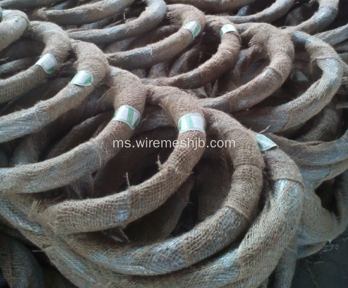 Steel Wire Rods-Galvanized Iron Wire