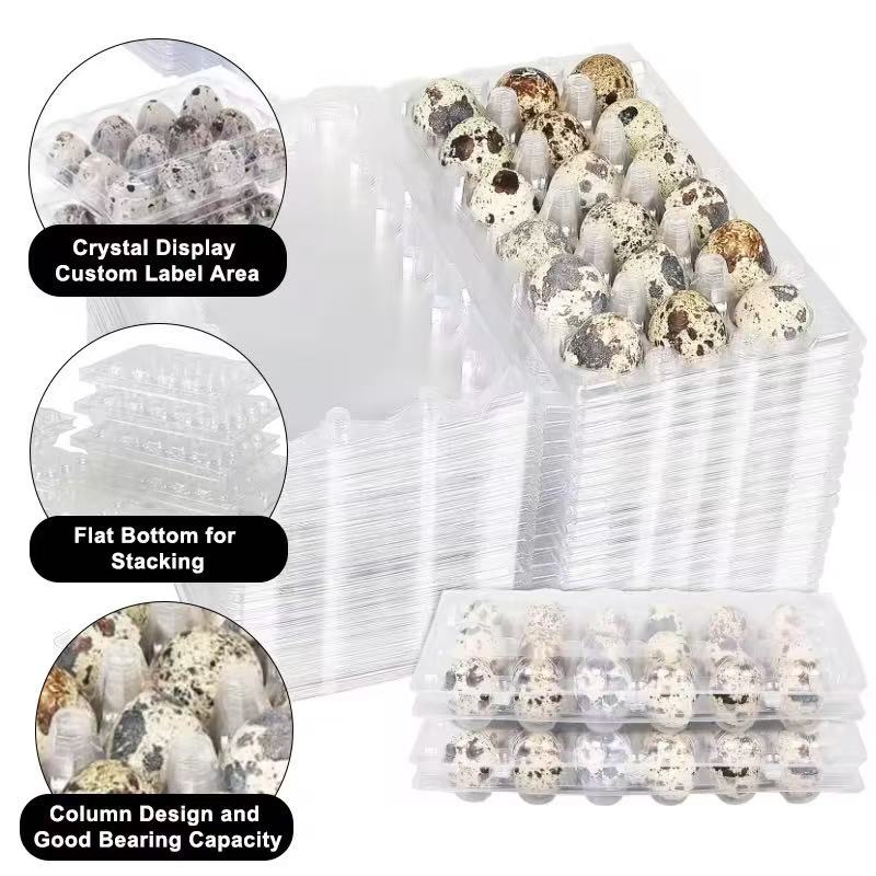 PET film blister packaging
