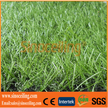 Landscape Artificial Grass