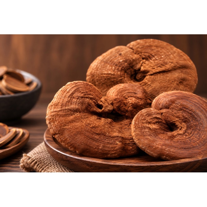 Organické produkty Ganoderma Lucidum