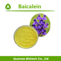 Экстракт корня Scutellaria Baicalensis Baicalein 98% Порошок