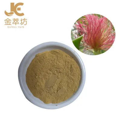 Corn Silk Extract Powder