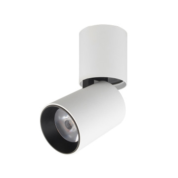 12W COB Down Light Rotatable LED Ceiling Light 10W Surface Mount
