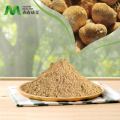 Organic Hericium erinaceus estratto in polvere