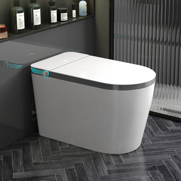 Self Cleaning Smart WC Toilet Set with Remote Control and Light