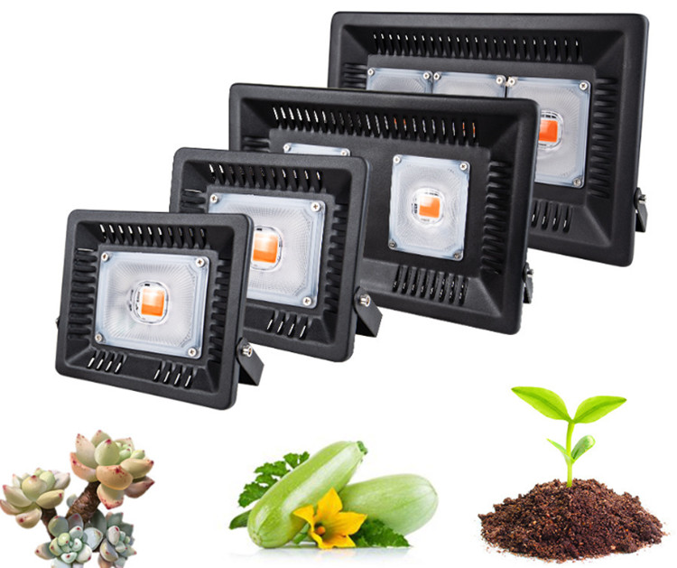 Best cob grow lights 2020 50w 100w 150w