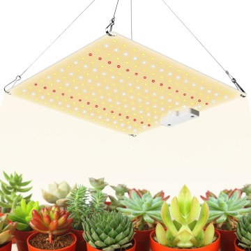 65W Full Spectrum Samsung 3000K 5000K UV IR LED Grow Light for Veg and Flower Growth