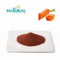 Warna Makanan Beta Carotene 10% Beta Carotene Powder