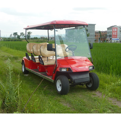 gas sightseeing auto 6 zitplaatsen brandstof golfkar