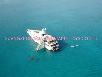 Adult Waterproof Inflatable Water Slides In Pvc With Fade Proof