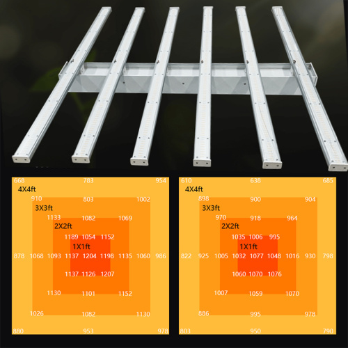 Thailand Hemp Plant Growth Led Grow Light