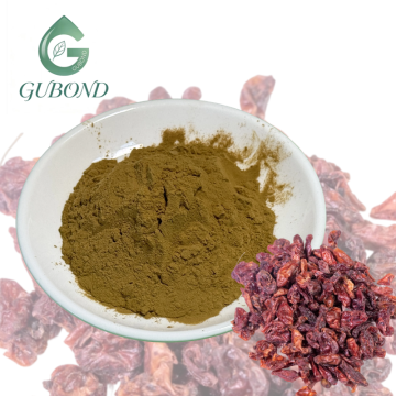Natural Cornus Extract Powder Bulk