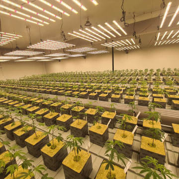 Led Grow Lights Indoor Full Spectrum Plants