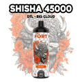 Fort Shisha 45000 Flavours Pena Vape Experience