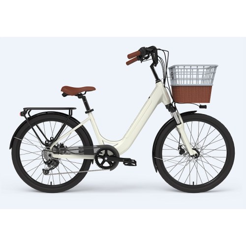 Customized Best Ebike for Commuting