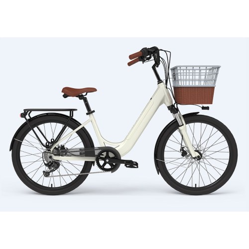 Lady Electric Bike 2 Person