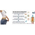 best lose weight product garcinia cambogia powder