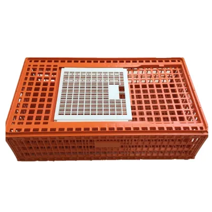 Agrieso Plastic Chicken Crates for Poultry Farms and Transport